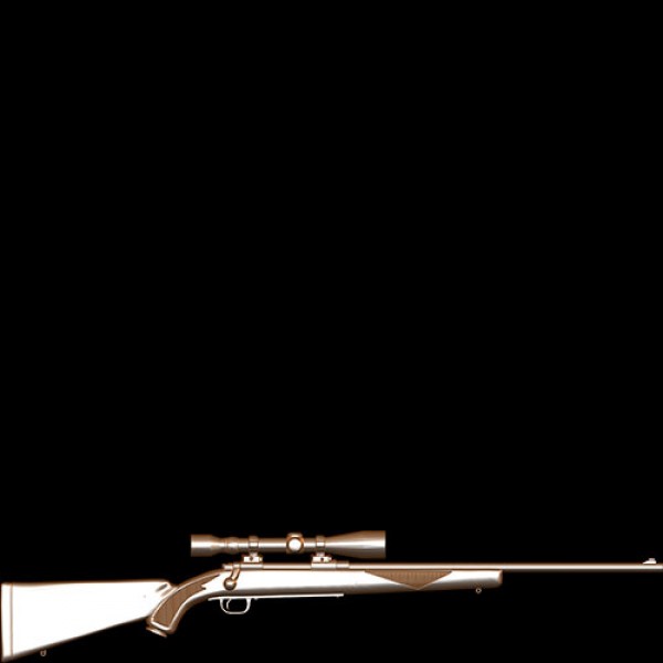 Rifle Winchester